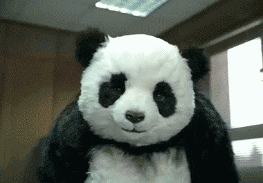 panda-bears-free-animated-gameznet 04.gif